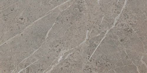 D105 (ADT8) Marvel Grey Fleury 30x60