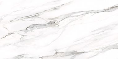 D12053M Omega Silver 1200x600x9.5