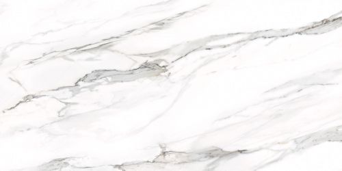 D12053M Omega Silver 1200x600x9.5
