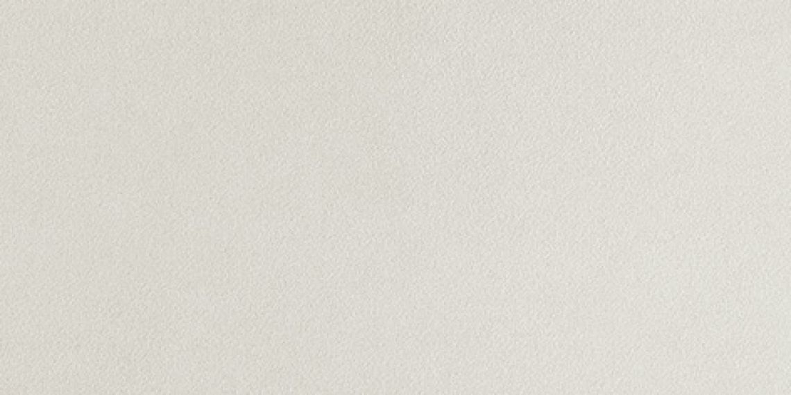 D210 (AUGN) Arkshade White Grip 30x60