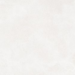 DAK63790 BETONICO 60x60