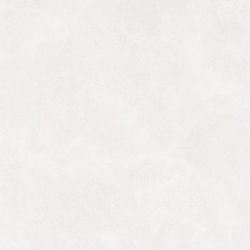 DAK81790 Betonico white-grey R10 80x80