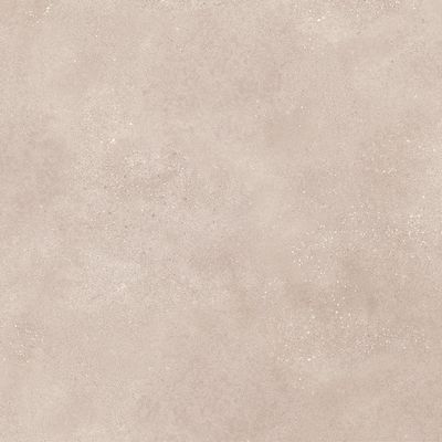 DAK81794 Betonico dark beige R10 80x80