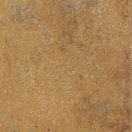 DAR2Y664 Siena brown R9 22,5x22,5