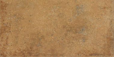 DARPT664 Siena brown R9 22,5x45