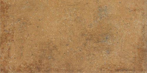 DARPT664 Siena brown R9 22,5x45