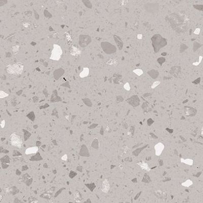 DAS26811 Porfido grey R10 20x20