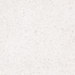 DAS63810 Porfido white R10 60x60