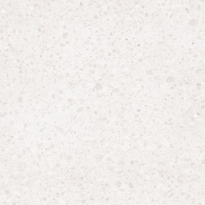 DAS63810 Porfido white R10 60x60