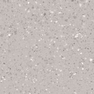 DAS63811 Porfido grey R10 60x60