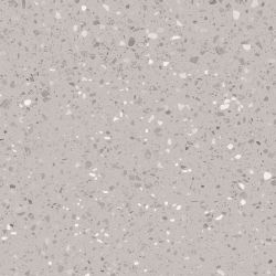 DAS63811 Porfido grey R10 60x60