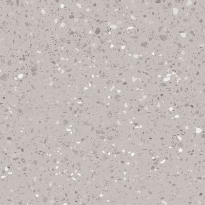 DAS63811 Porfido grey R10 60x60