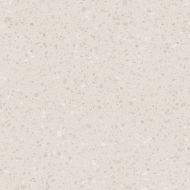 DAS63813 Porfido beige R10 60x60