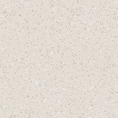 DAS63813 Porfido beige R10 60x60