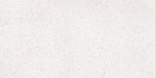 DASV1810 Porfido white R10 60x120