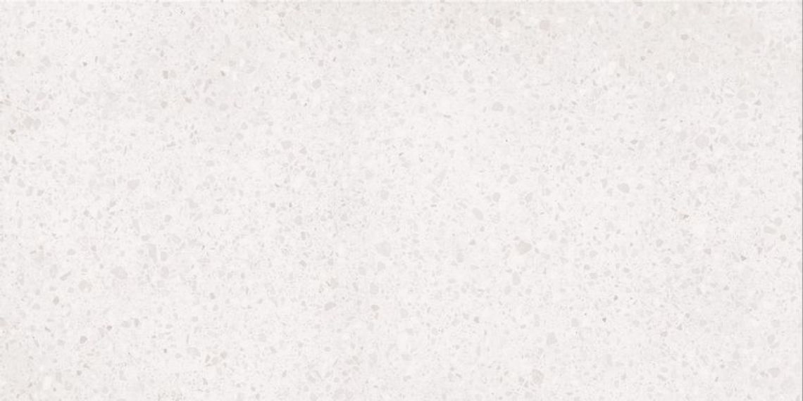 DASV1810 Porfido white R10 60x120