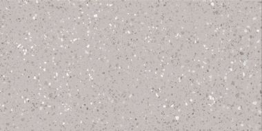 DASV1811 Porfido grey R10 60x120