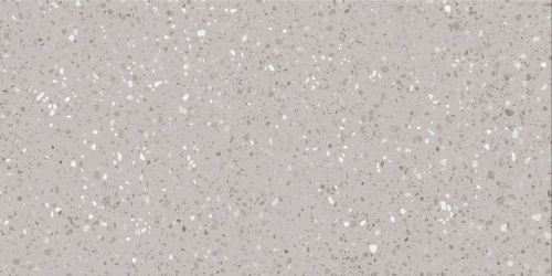 DASV1811 Porfido grey R10 60x120