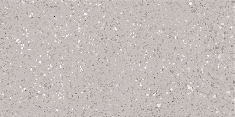 DASV1811 Porfido grey R10 60x120