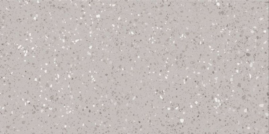 DASV1811 Porfido grey R10 60x120
