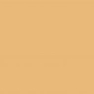 DB_012 Керамогранит Poly Mustard 20х20