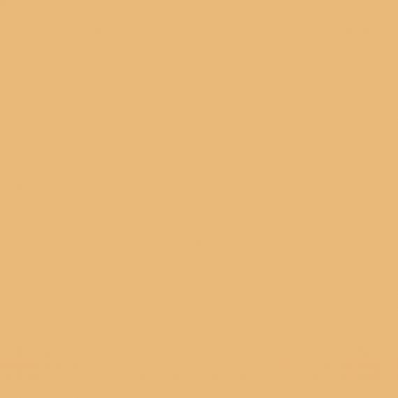DB_012 Керамогранит Poly Mustard 20х20