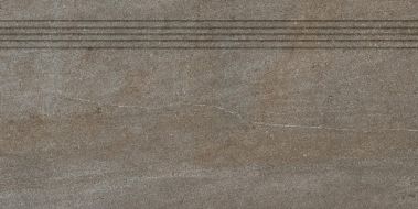 DCP84736 Quarzit Brown 40x80