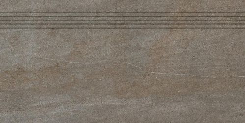 DCP84736 Quarzit Brown 40x80