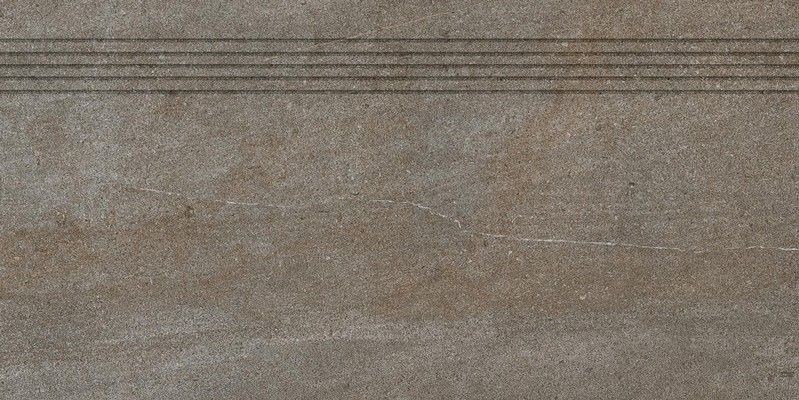 DCP84736 Quarzit Brown 40x80