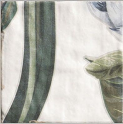 DECOR PROTEA 20x20