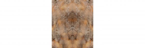 DESIGN STONES SLF.AVA.GLNB.LC BOOK 280x120