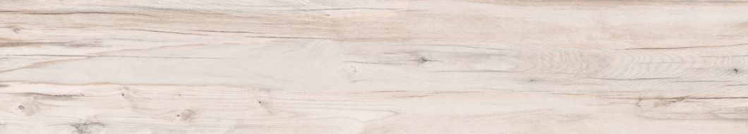 DPR35050 DOLPHIN MILK RETT. 20x120