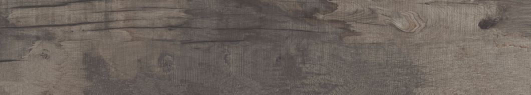 DPR35750 DOLPHIN COAL AGED RETT. 20х120