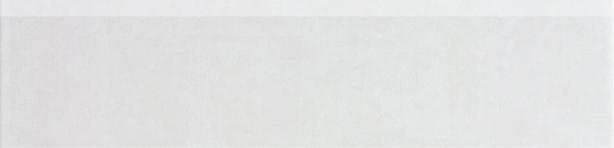 DSAJ8599 CONCEPT skirting white 30x7,2