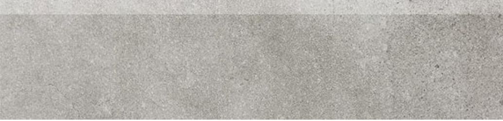 DSAL3696 FORM 33x8