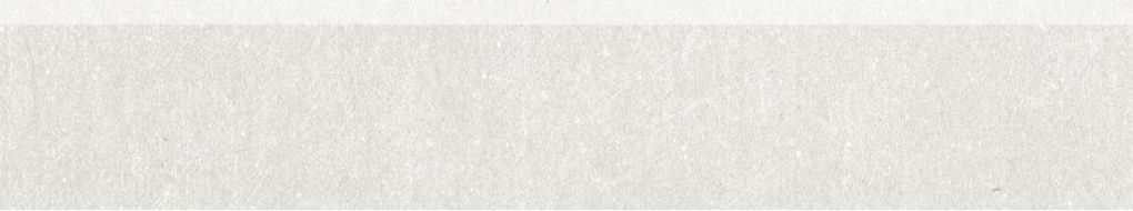 DSAPS740 Rebel white-grey 8.5x45