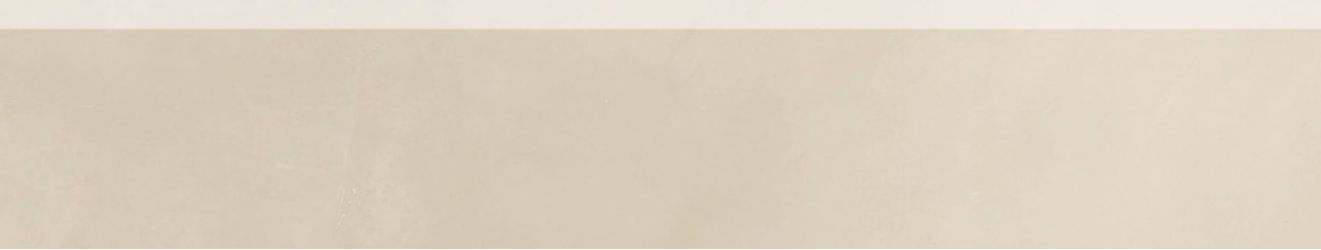 DSAPS806 Blend beige 45x8.5