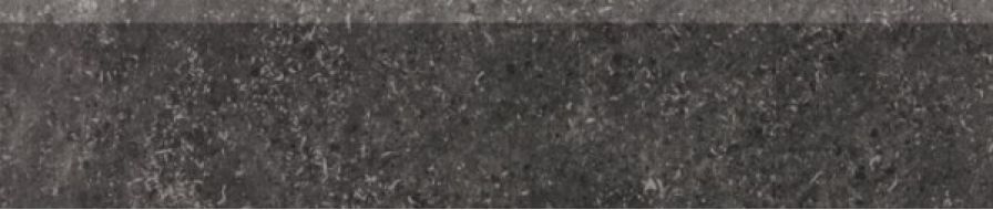 DSAS4433 Base 9.5x60