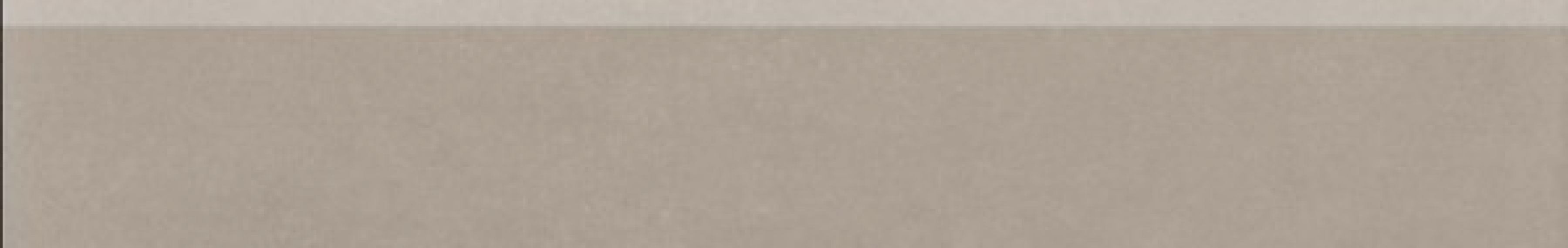 DSAS4656 beige-grey 60x9,5