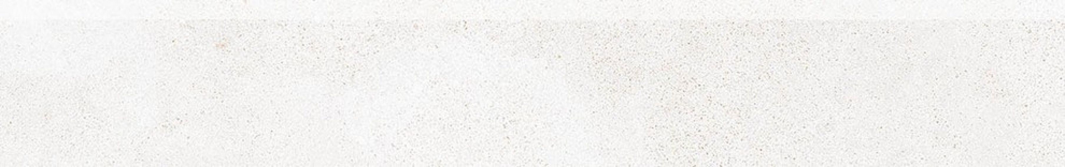 DSAS4790 BETONICO 9.5x60