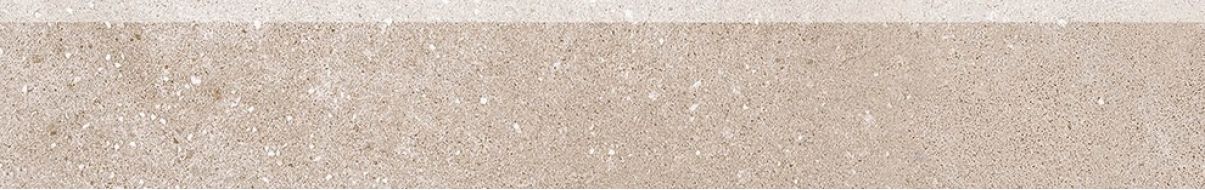DSAS4794 BETONICO 9.5x60
