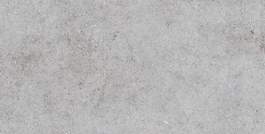 Dacite Grey 60x120