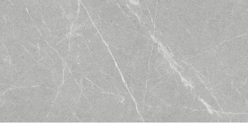 Dakota Gris Antislip R10 60x120
