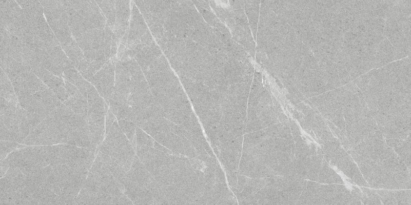 Dakota Gris Antislip R10 60x120