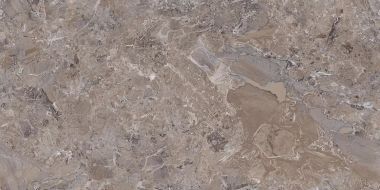 Danir Mud Glossy 60x120