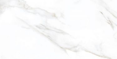 Dante Statuario 600x1200х8,8