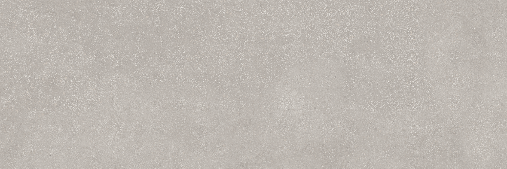 Delf Fumo Rectificado 33.3x100