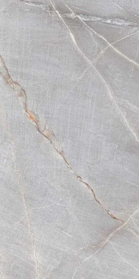 Denis Silver (Shapetouch) 60x120