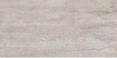 Dianox Grey Glossy 60x120