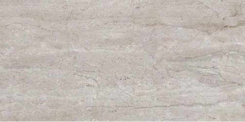 Dianox Grey Glossy 60x120